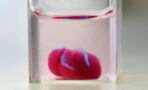 For the first time, researchers have printed a 3D heart using human tissue