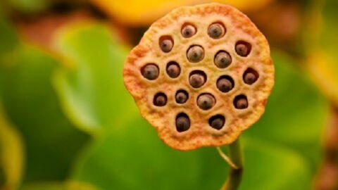 You Could Be Suffering From This Phobia Without Even Knowing It