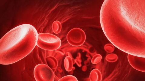 Anemia (Aplastic And Pernicious): Symptoms, Definition, Causes, Treatment