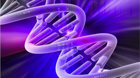 Angelman Syndrome: Definition, Symptoms, And Causes