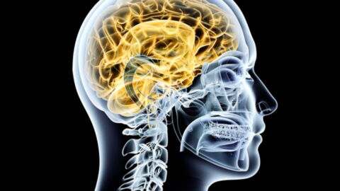 Parkinson's Disease: Cause, Symptoms, Treatments, Signs, Diagnosis, Life Expectancy