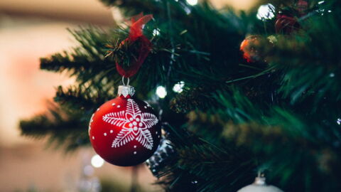 This Is How You Can Make Sure Your Tree Stays Alive Through The Christmas Period