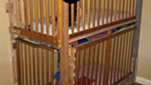 Police Uncover Disturbing Case Of Child Abuse In California Home