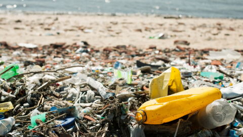 3 Single-Use Plastic Products Become ILLEGAL Next Year