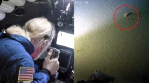 Deep Below The Surface, This Diver Made An Unfortunate Discovery