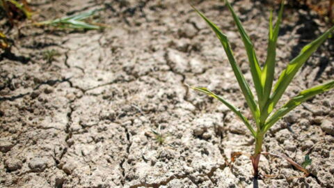 The UK Could Run Out Of Water In Just 25 Years