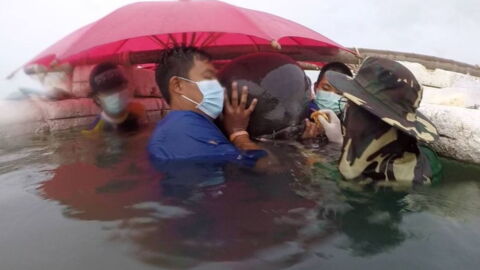 Thai Officials Made A Horrifying Discovery In This Whale's Stomach