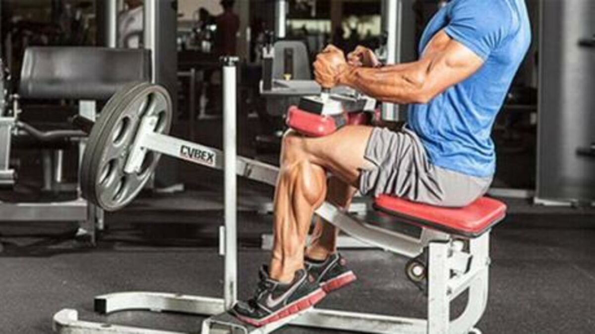 Four Ways To Train Your Calves And Help Them Grow