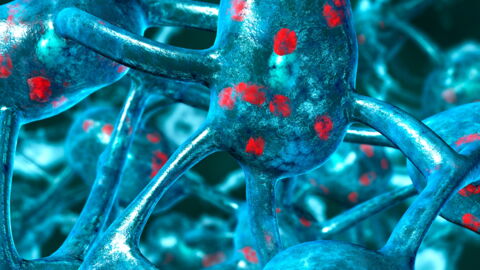 A Public Health Emergency Has Been Declared In New York After An Outbreak Of This Killer Disease