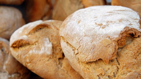 Discovery the Oldest Bread in the World Shakes Up Theories About Our Own History