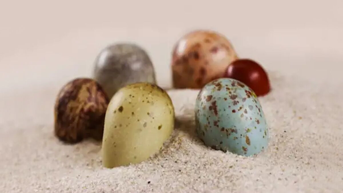 These Fossil Pigments Are Revealing The Amazing Colours Of Dinosaur ...