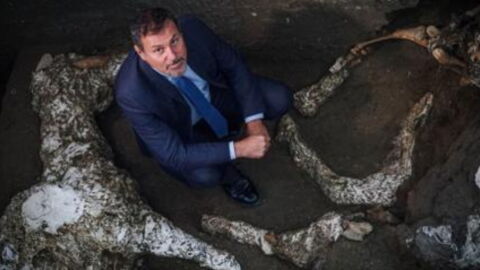 Researchers Have Just Made An Unbelievable Discovery In Pompeii