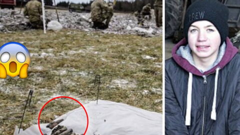 He Was Doing His Homework When He Discovered Something Incredible