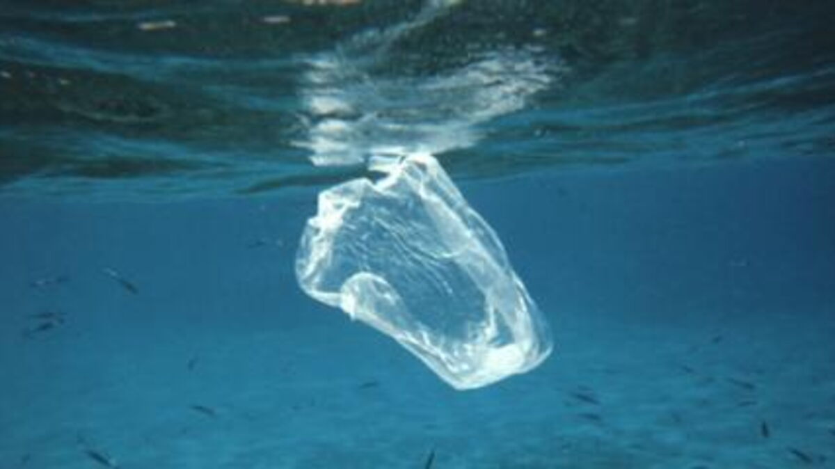Chilean Engineers Have Invented An EnvironmentallyFriendly Plastic Bag That Dissolves In Water
