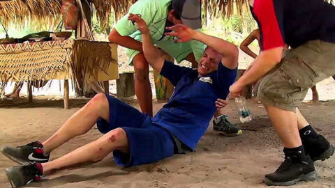 Meet the Man Who Decided to Test Out the World’s Most Painful Insect Stings