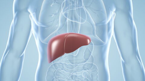 Cirrhosis Of The Liver: Causes, Symptoms, Prognosis, Treatment, Life Expectancy