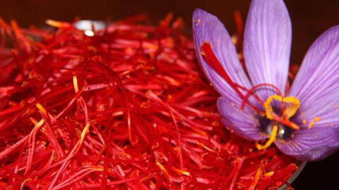 These Are The World's Most Eye-Wateringly Expensive Materials