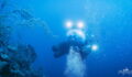 These Researchers Journeyed Into The Deep And Made A Horrifying Discovery