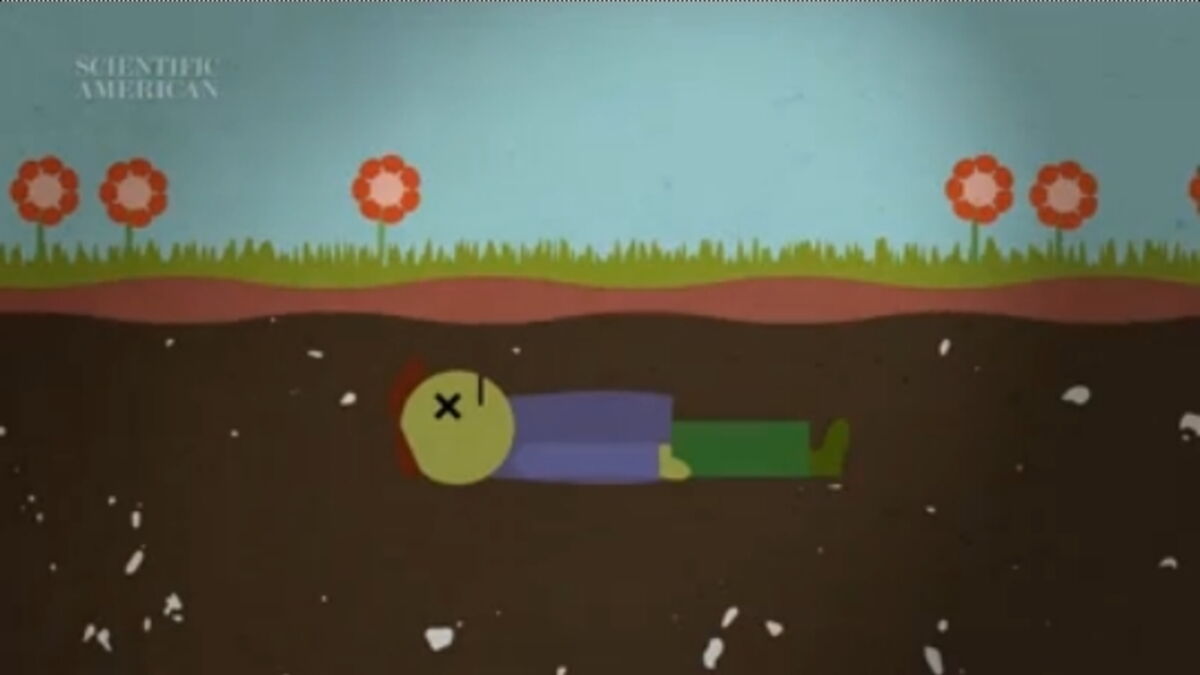 Have You Ever Wondered What Will Happen To Your Body After You Die