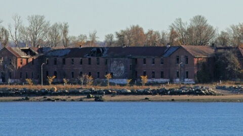 Dozens Of Mysterious Bones Appear In Broad Daylight On New York's Hart Island