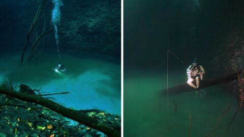 The Mystery Of The River Flowing At The Bottom Of The Mexican Sea Has An Explanation