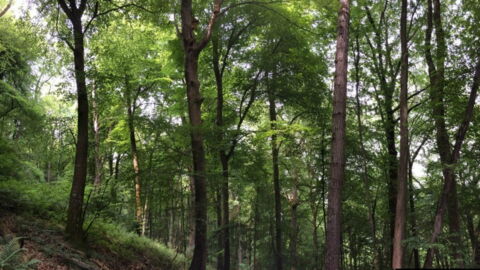 Theresa May Has Just Signed Off A New £500 Million Environment Project