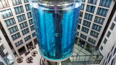 The World's Largest Aquarium Is In This German Hotel... And It's Incredible