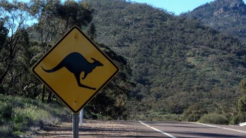 12 reasons Australia is one of the most dangerous countries in the world