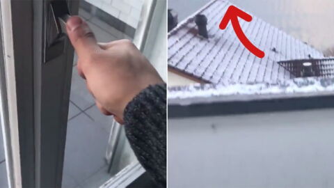 He Opened The Window Of His Hotel Room And Saw Something Unbelievable