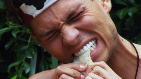 These Are The Worst Ever I'm A Celeb Bushtucking Eating Trials