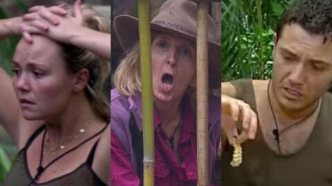 I'm A Celeb's Top 5 Most Complained-About Moments To Date