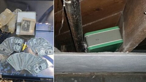 This Couple Made an Incredible Discovery Whilst Renovating Their House