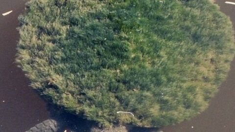 Check Out These 14 Photos of Things You Probably Have Never Seen Before