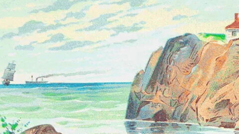 Only People With The Highest IQ Can Spot All 4 Animals Hiding In This Image