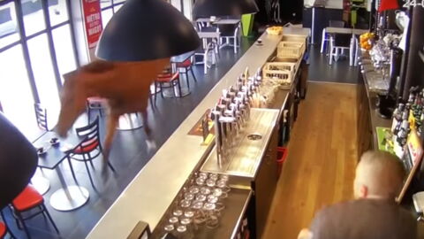 This Is What Happens When a Horse Really Does Walk Into a Bar…