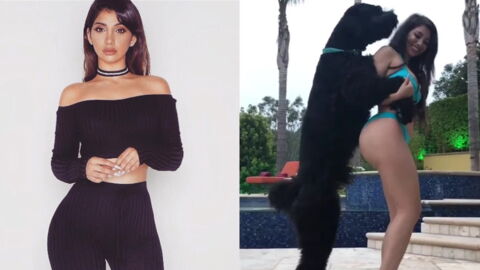 This Woman Is Being Sued For Sexually Arousing A Dog During A Photoshoot