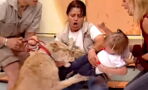 The terrifying moment a lion attacks a child on a live television program