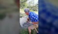 This Man Tried To Pet A Lion And Regretted It Almost Instantaneously
