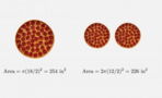 Is One Big Pizza Better Than Two Small Ones? Check Out The Debate That’s Been Shaking The Internet!