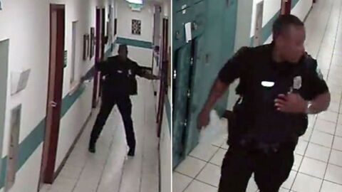 This Policeman Was Caught On Camera Running Away From Something Very Unexpected...