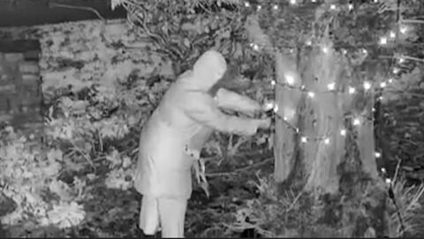 Old Lady Was Caught On Camera Cutting Down Her Neighbour's Christmas Lights