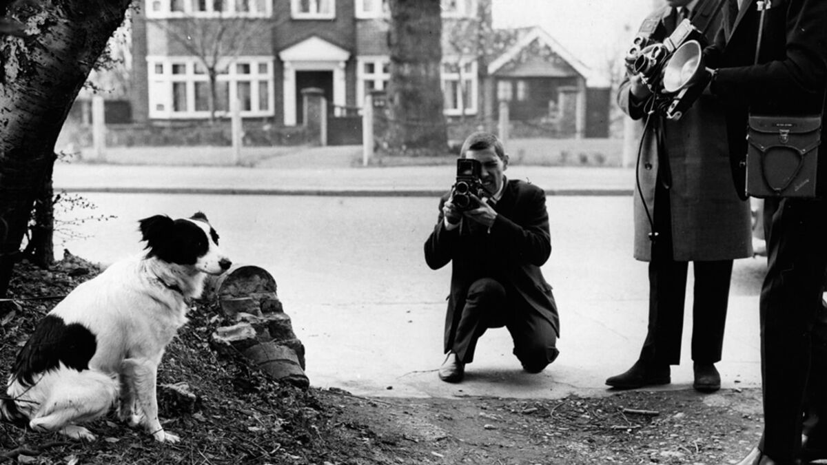 Pickles The Dog Who Saved The World Cup