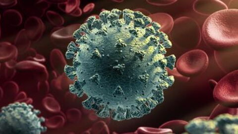 The Origin of the Second Wave of the Coronavirus is Thought to Be Due to a Spanish Variant