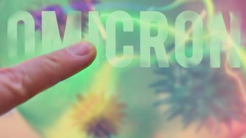 COVID: This is what the Omicron variant looks like