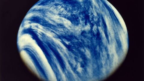 Venus: Researchers may have found proof of life on the planet