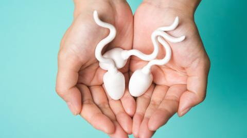These foods can improve quality of your sperm