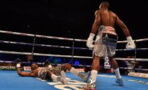 This is the fastest KO in boxing history—blink and you'll miss it