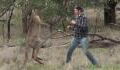 This man squared up with a kangaroo to save his dog
