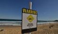 Australian surfer dies after being attacked by a shark