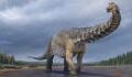 Meet Australotitan, the largest dinosaur ever unearthed in Australia